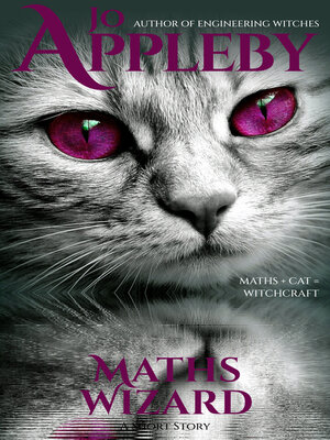 cover image of Maths Wizard